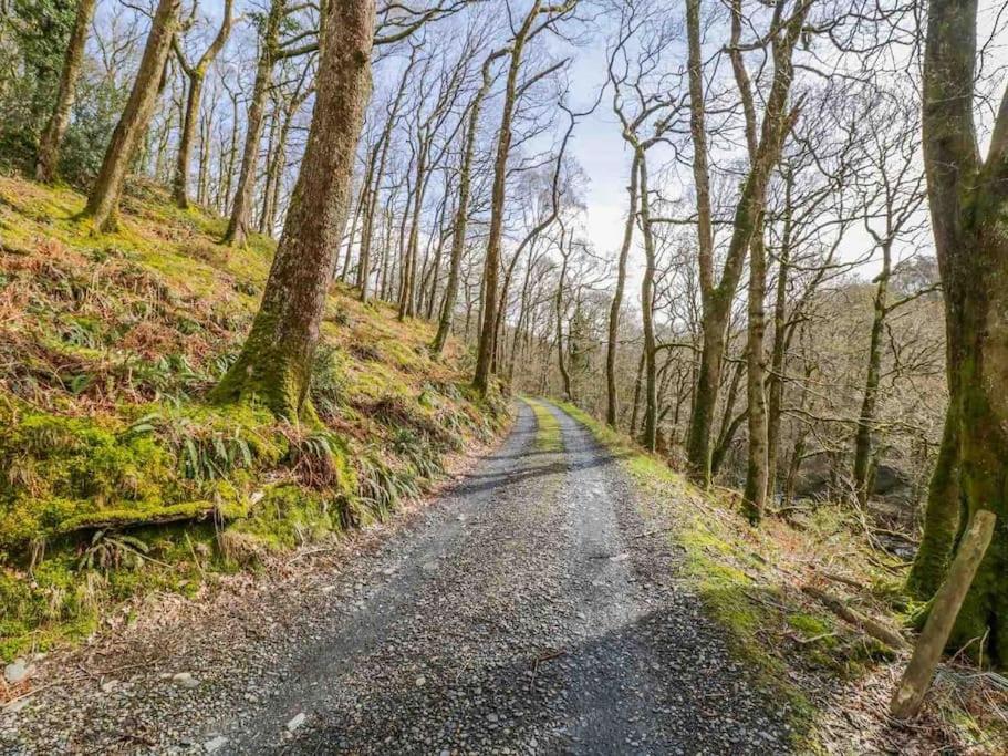 Pandy Farm - Waen Fechan Dolgellau Zewnętrze zdjęcie
